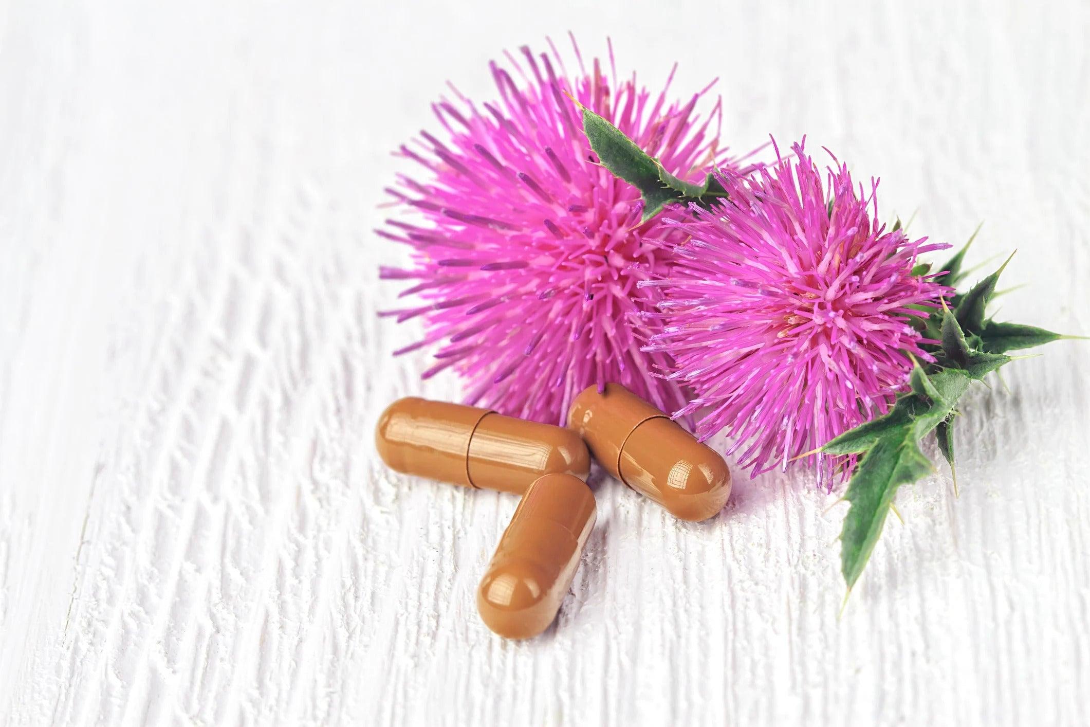 How Milk Thistle Can Help You Detox Post-Holidays - GNC India