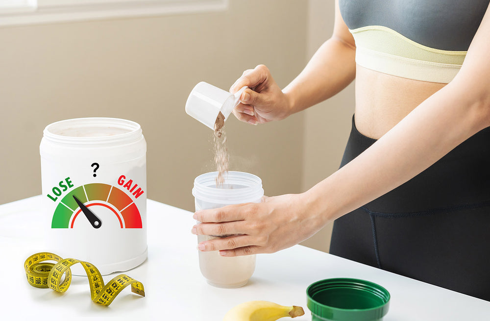 Do Protein Shakes Make You Fat