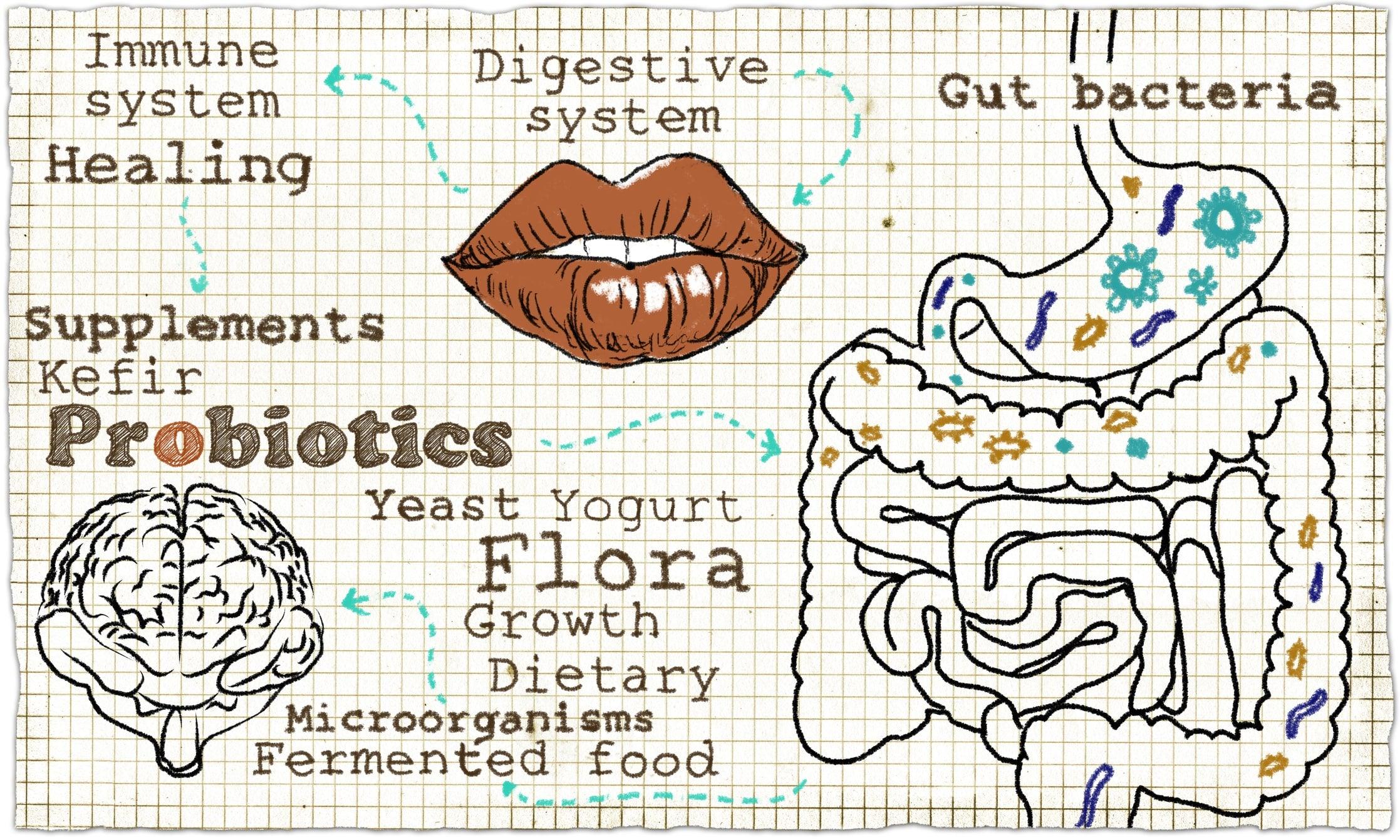 The Connection Between Gut and Brain: Role of Probiotics - GNC India