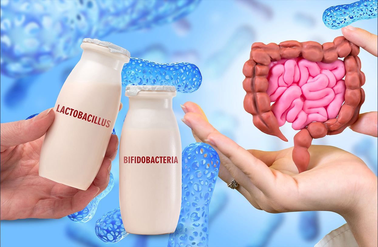 How can Probiotics help you burn belly fat? - GNC India