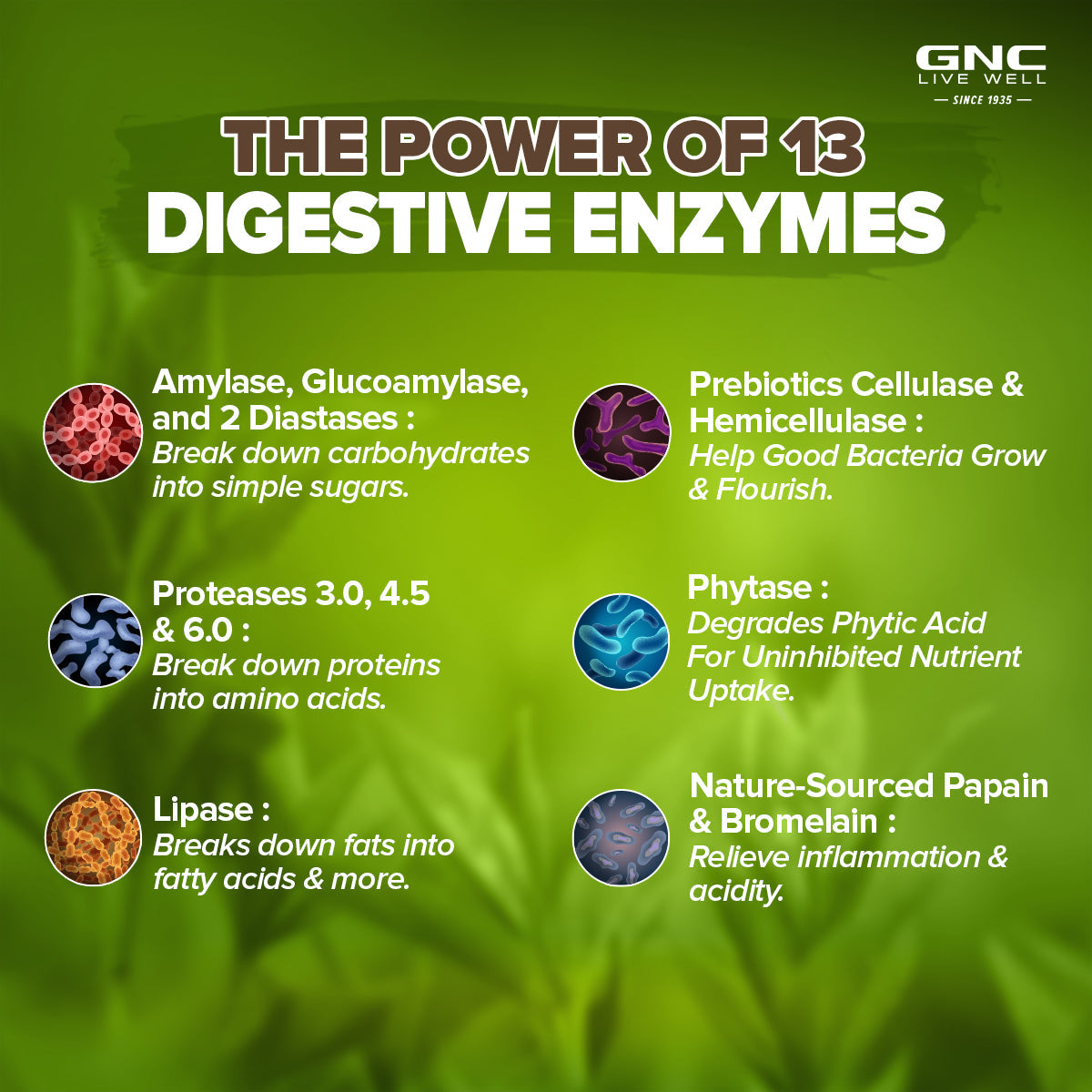Super Digestive Enzymes - Supports Healthy Digestion & Relieves Stomach Discomfort